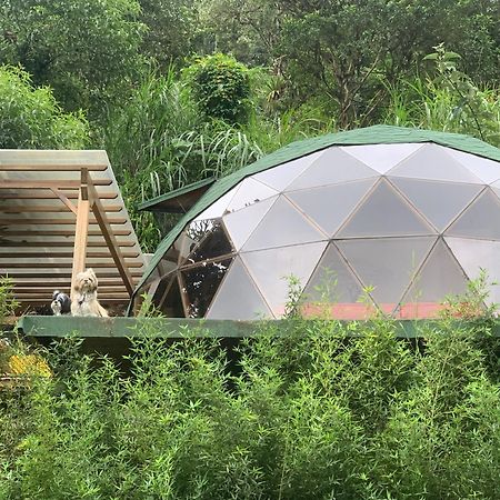 Magic Elf Glamping Διαμέρισμα Mindo Εξωτερικό φωτογραφία