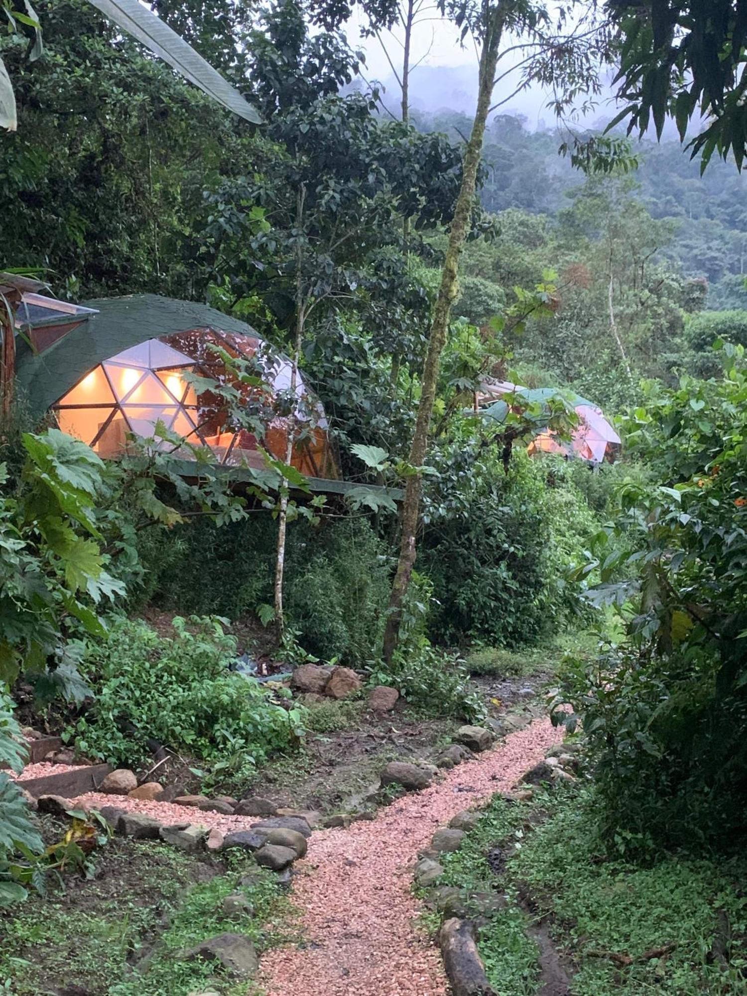 Magic Elf Glamping Διαμέρισμα Mindo Εξωτερικό φωτογραφία